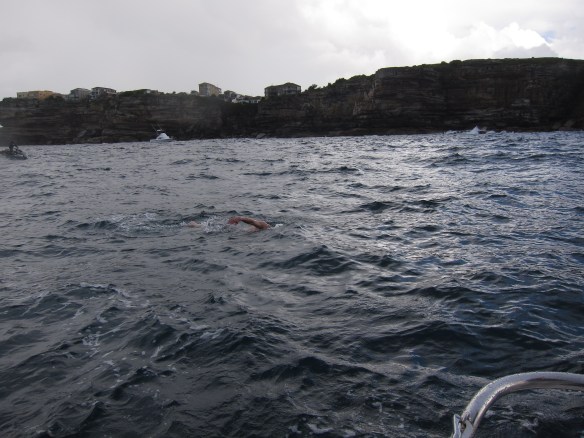 a foreboding coastline