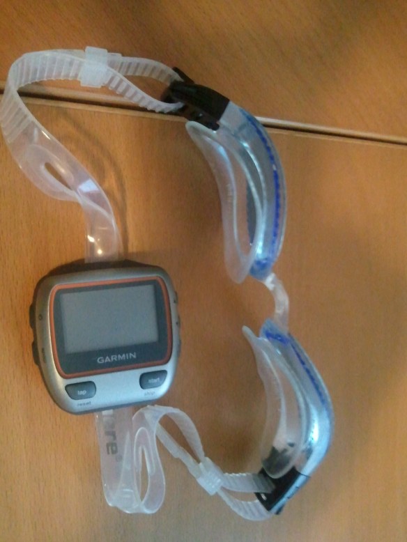 GPS Goggles!